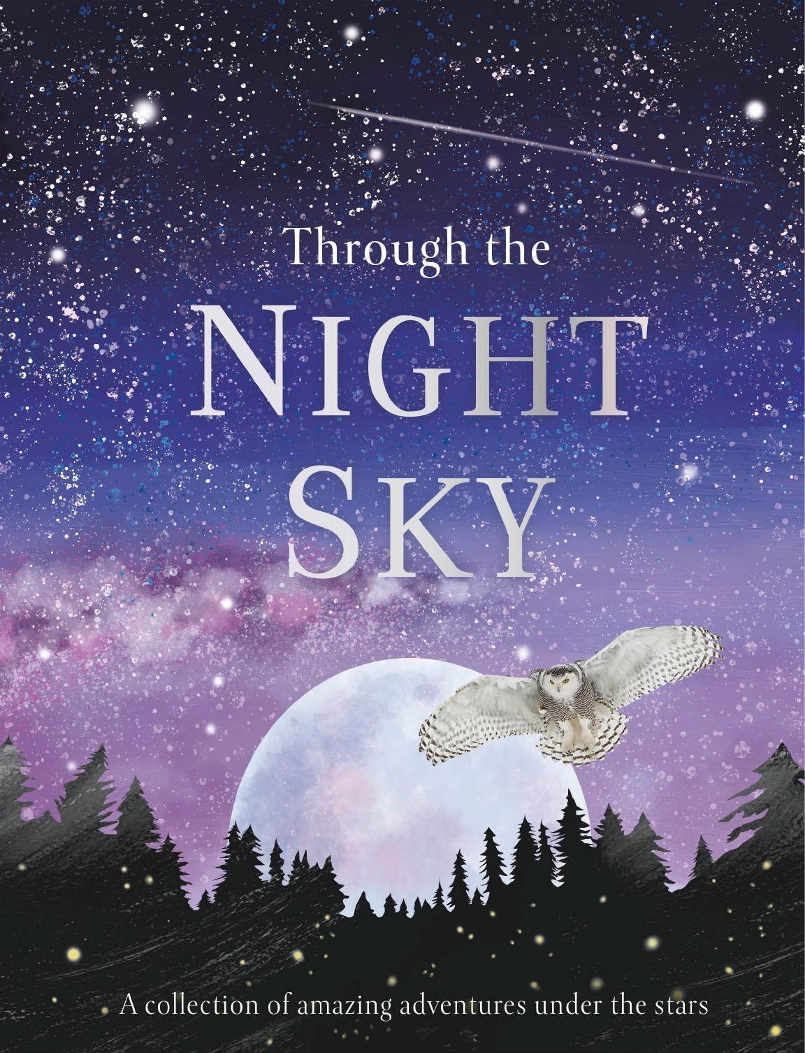 Through the Night Sky: A collection of amazing adventures under the stars by DK