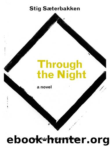 Through the Night by Stig Saeterbakken