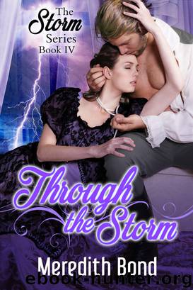 Through the Storm by Meredith Bond