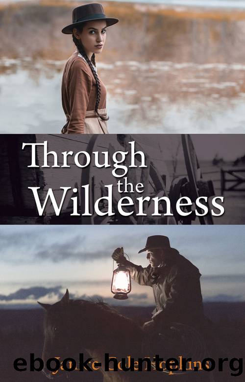 Through the Wilderness by Janice Cole Hopkins