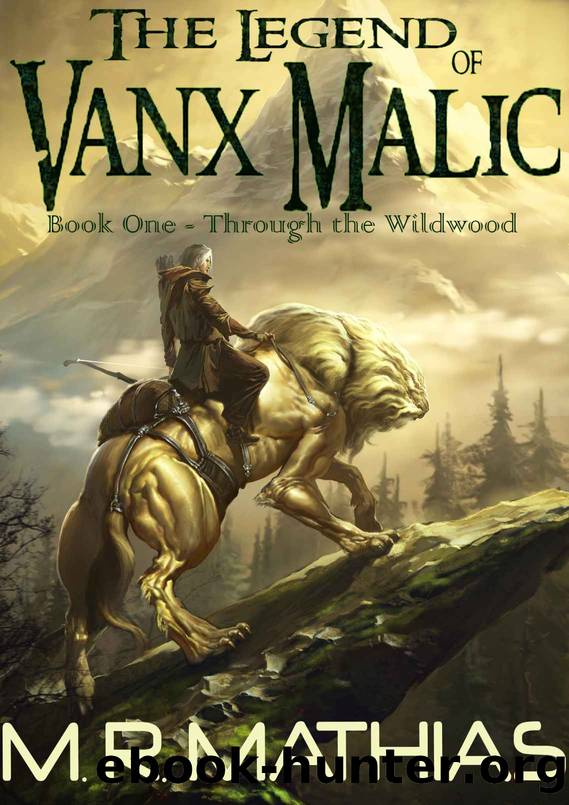 Through the Wildwood (The Legend of Vanx Malic Book 1) by M. R. Mathias