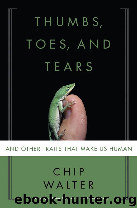 Thumbs, Toes, and Tears by Chip Walter