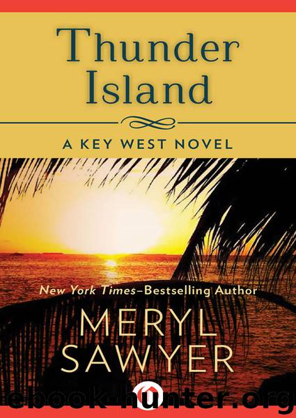 Thunder Island by Meryl Sawyer