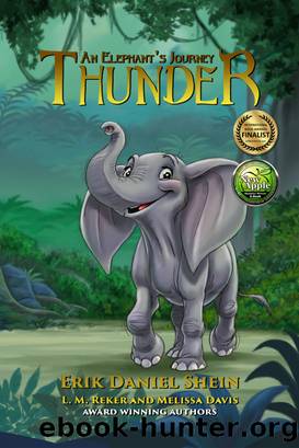 Thunder by Erik Daniel Shein