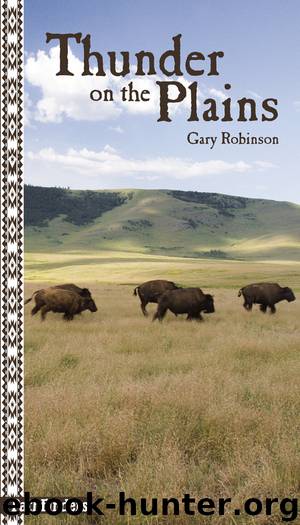 Thunder on the Plains by Gary Robinson