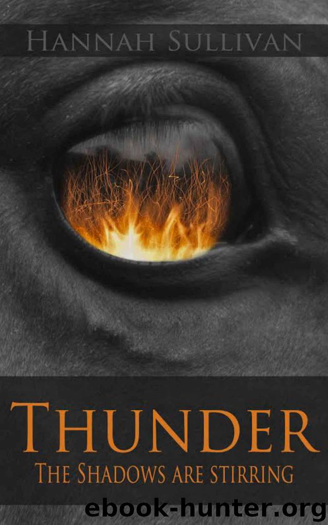 Thunder: The Shadows Are Stirring (Thunder Stories Book 1) by Sullivan Hannah