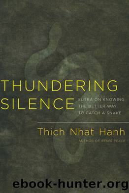 Thundering Silence by Thich Nhat Hanh