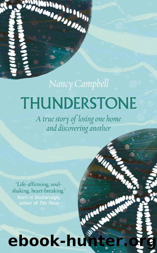 Thunderstone by Nancy Campbell