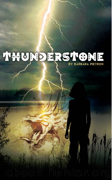 Thunderstone by Pietron Barbara;