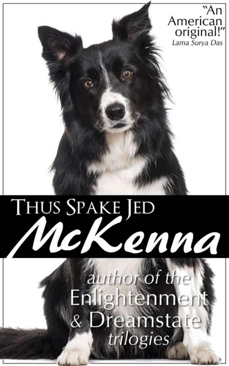 Thus Spake Jed McKenna by Jed McKenna