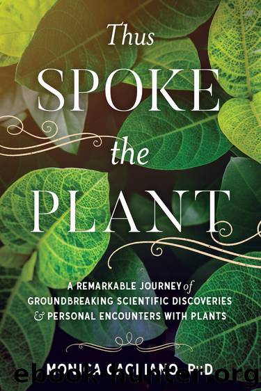 Thus Spoke the Plant by Monica Gagliano
