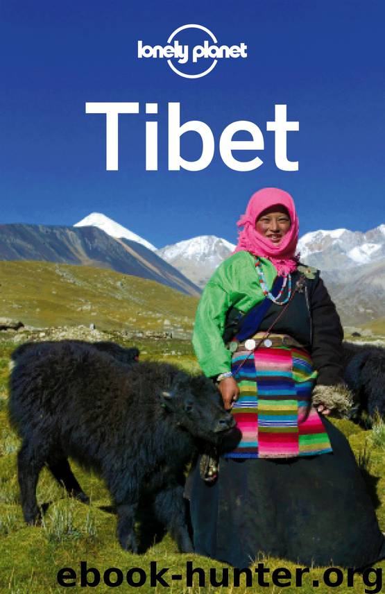 Tibet Travel Guide by Lonely Planet