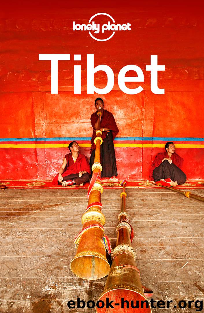 Tibet by Lonely Planet