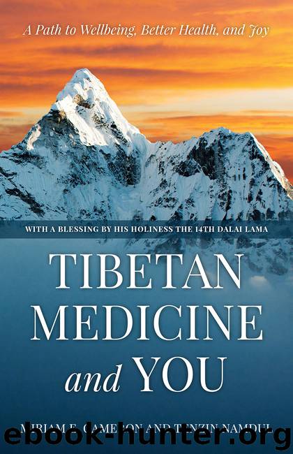 Tibetan Medicine and You by Miriam E. Cameron & Tenzin Namdul
