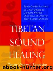 Tibetan Sound Healing by Tenzin Wangyal Rinpoche