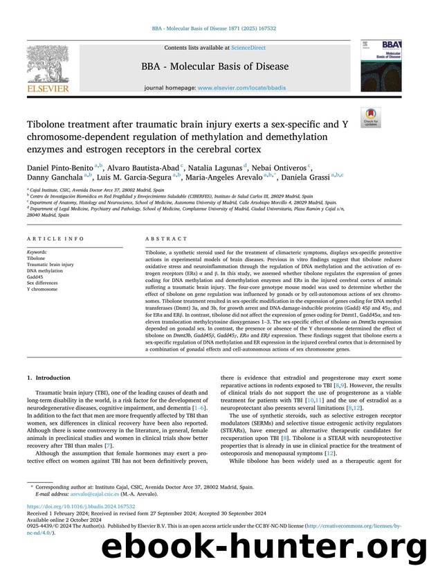 Tibolone treatment after traumatic brain injury exerts a sex-specific and Y chromosome-dependent regulation of methylation and demethylation enzymes and estrogen receptors in the cerebral cortex by unknow