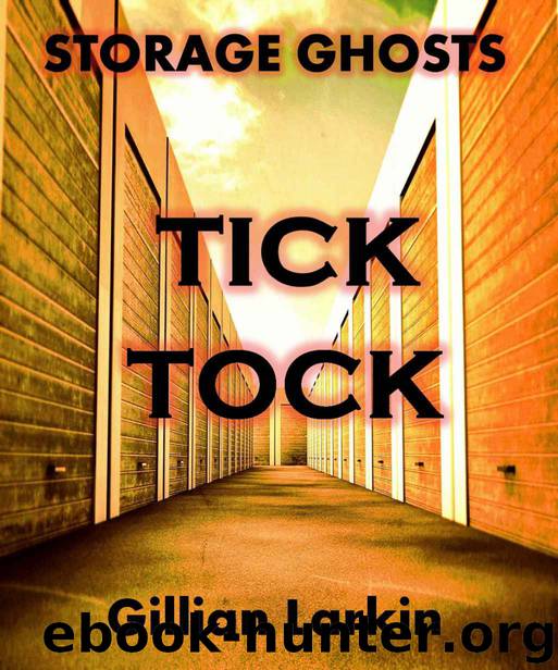 Tick Tock (Storage Ghosts) by Gillian Larkin