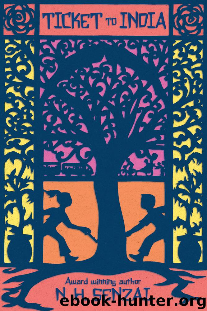Ticket to India by N. H. Senzai
