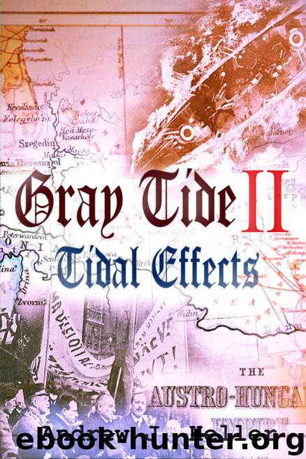 Tidal Effects (Gray Tide In The East Book 2) by Heller Andrew J