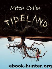 Tideland by Mitch Cullin