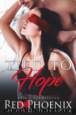 Tied to Hope (Brie's Submission Book 18) by Red Phoenix