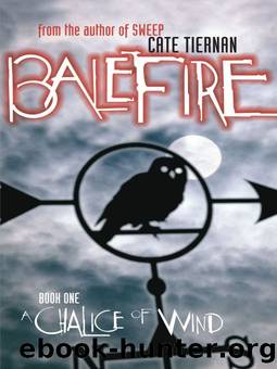 Tiernan, Cate - Balefire 01 - A Chalice of Wind by Tiernan Cate