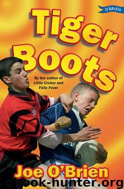 Tiger Boots by Joe O'Brien