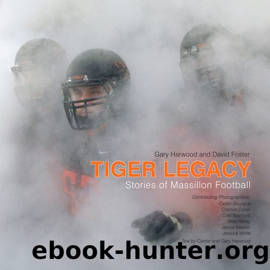 Tiger Legacy by David Foster