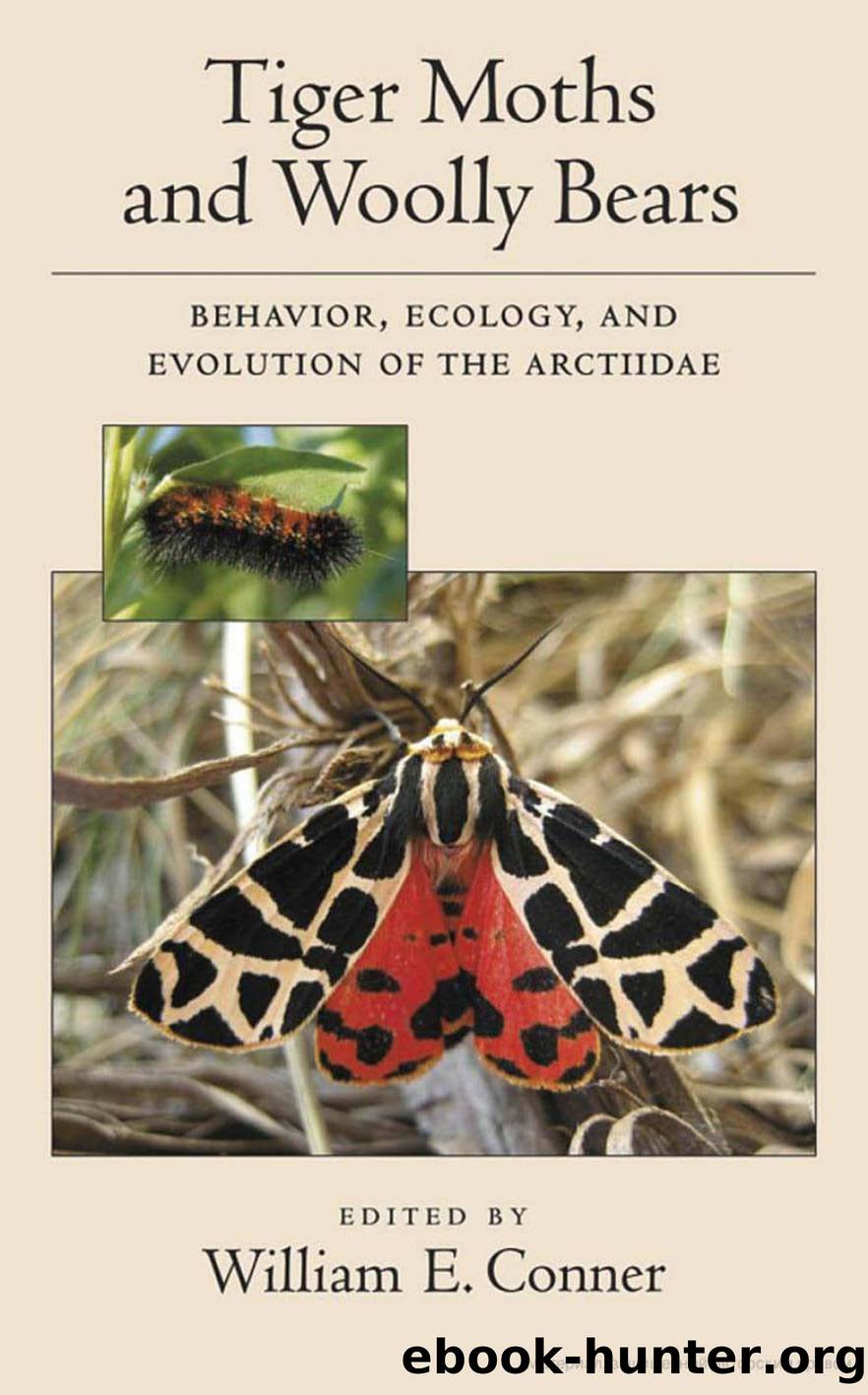 Tiger Moths and Woolly Bears by Unknown