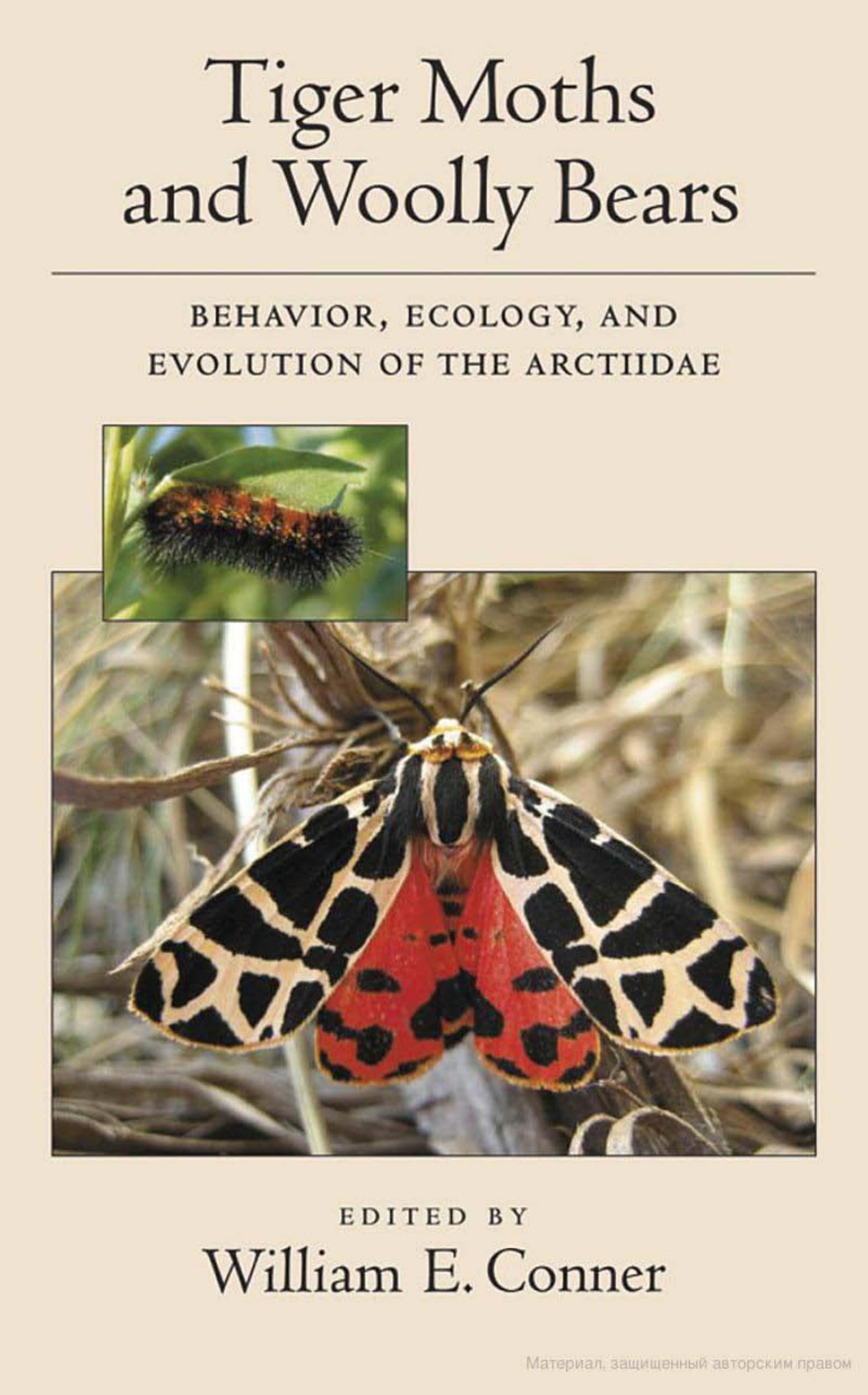 Tiger Moths and Woolly Bears: Behavior, Ecology, and Evolution of the Arctiidae by William E. Conner