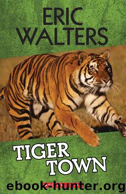 Tiger Town by Eric Walters