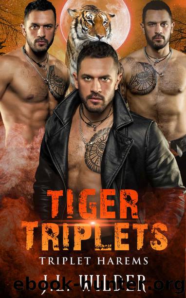 Tiger Triplets (Triplet Harems Book 5) by JL Wilder