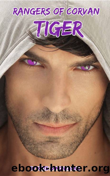 Tiger by Kate LaMontagne