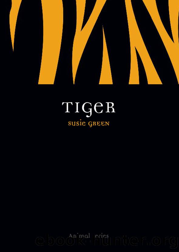 Tiger by Susie Green