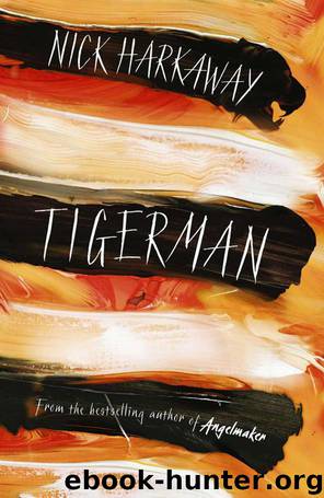 Tigerman by Nick Harkaway