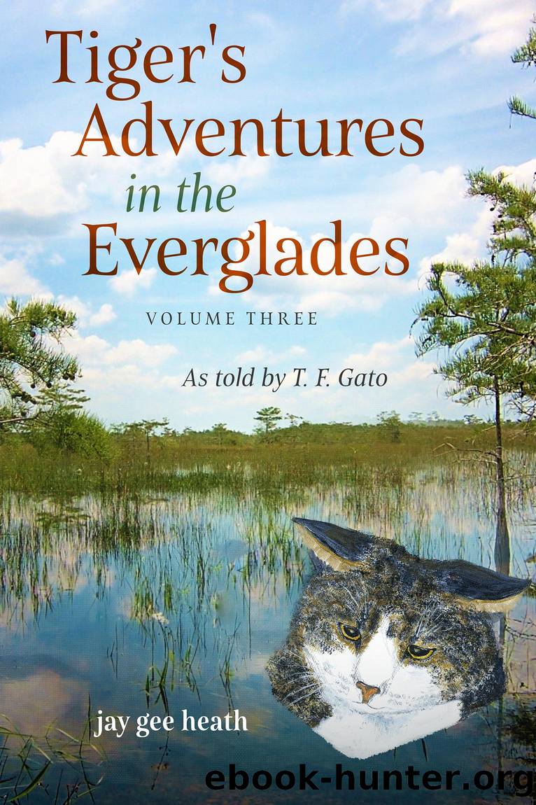 Tigers Adventures in the Everglades by jay gee heath