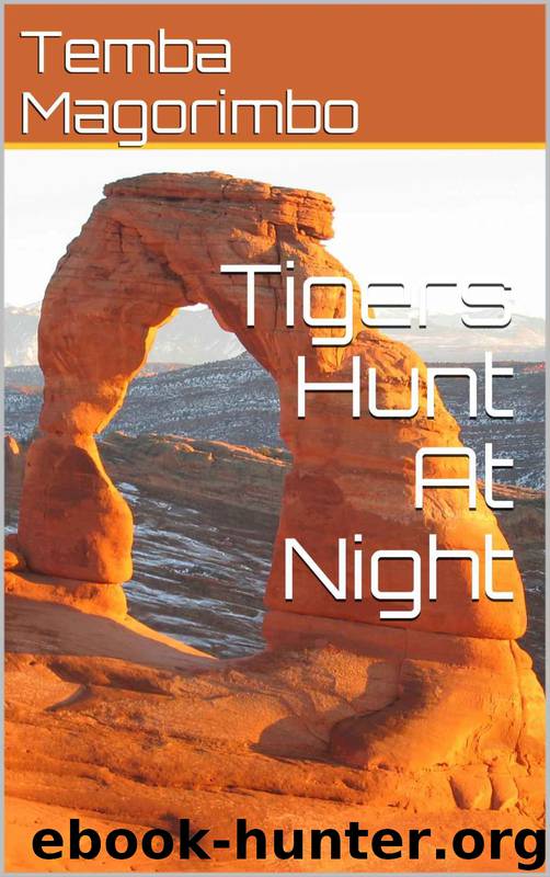Tigers Hunt at Night by Temba Magorimbo