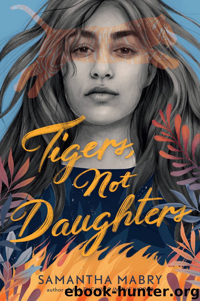 Tigers, Not Daughters by Samantha Mabry