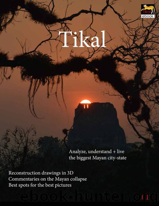 Tikal: Analyze, understand and live the biggest Mayan city-state by Richter Dieter & Concoha Daniel