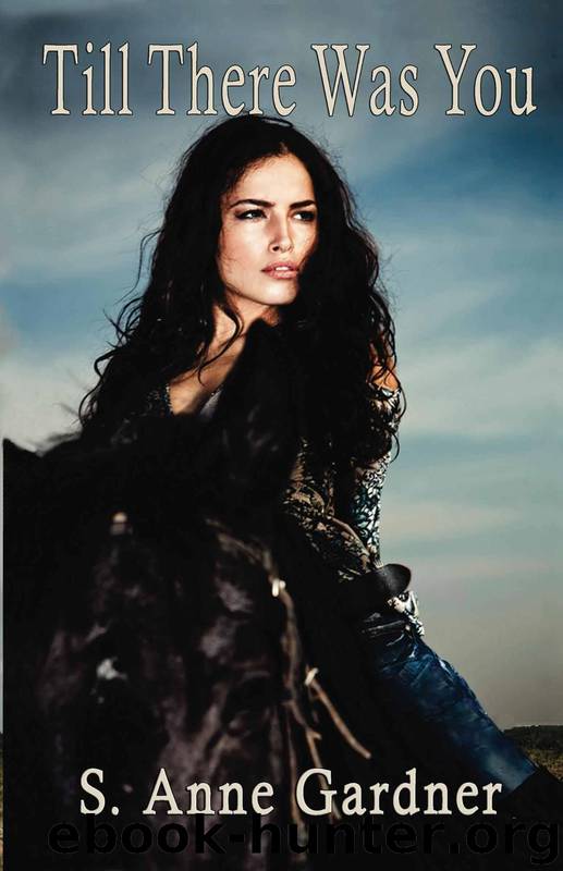 Till There Was You by S. Anne Gardner