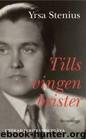 Tills vingen brister by Yrsa Stenius