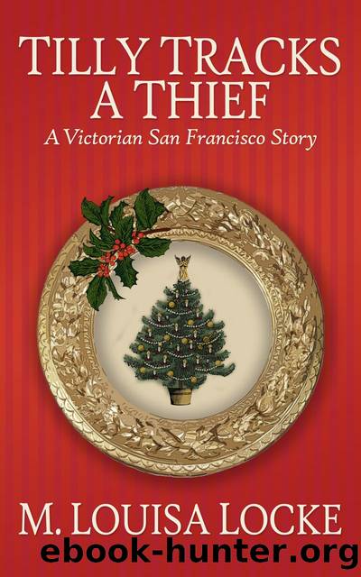 Tilly Tracks a Thief by M. Louisa Locke