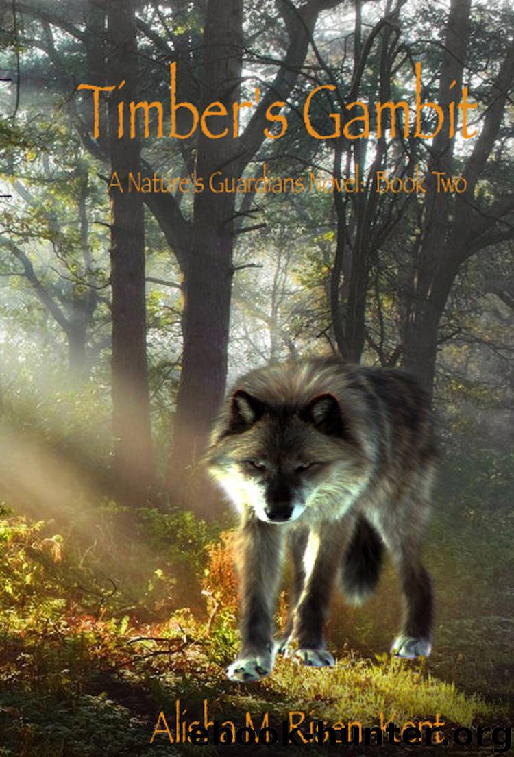 Timber's Gambit by Matthew Nixon Alisha M. Risen-Kent
