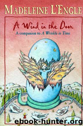 Time Quintet 02-A Wind in the Door by Madeleine L'Engle