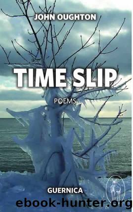 Time Slip by John Oughton