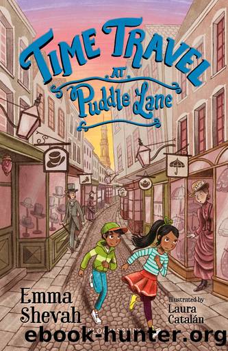 Time Travel at Puddle Lane by Emma Shevah