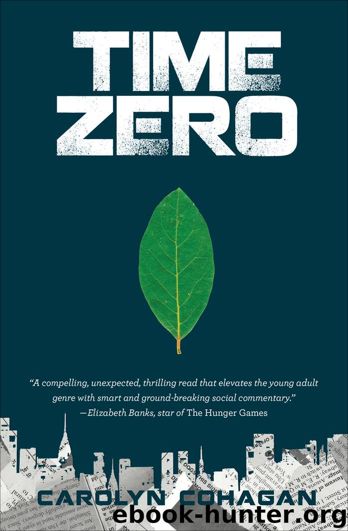 Time Zero by Carolyn Cohagan