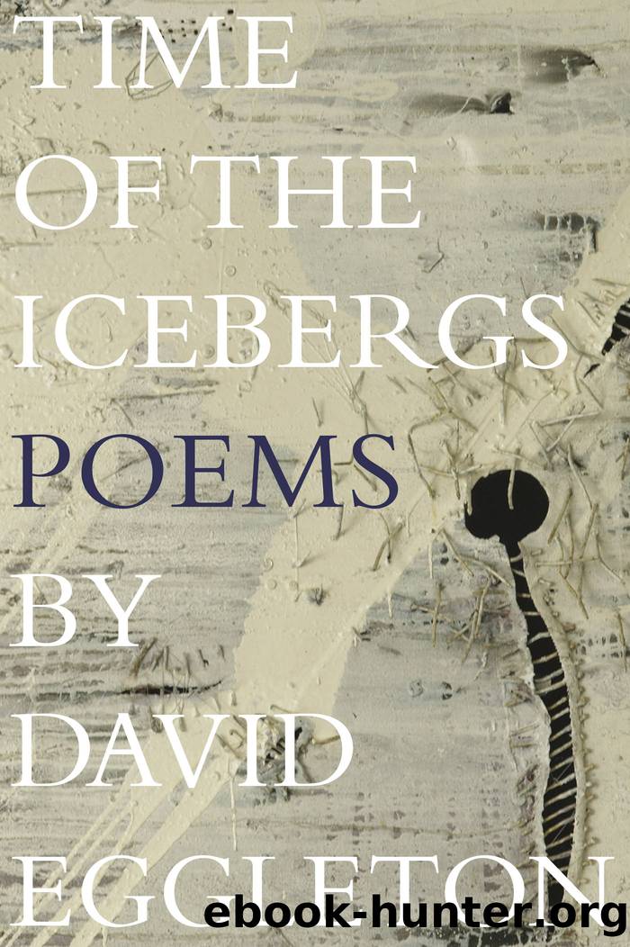 Time of the Icebergs by David Eggleton