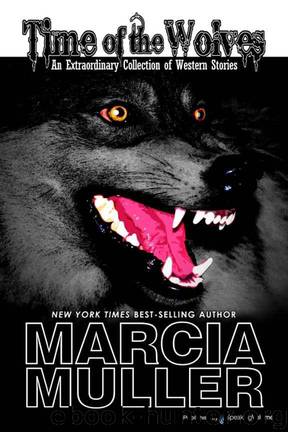 Time of the Wolves by Marcia Muller