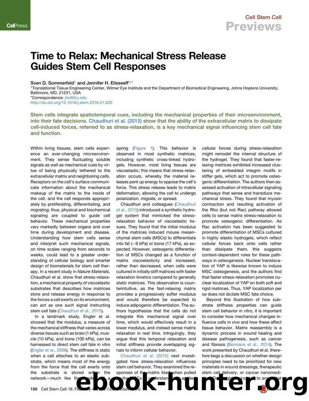 Time to Relax: Mechanical Stress Release Guides Stem Cell Responses by Sven D. Sommerfeld & Jennifer H. Elisseeff